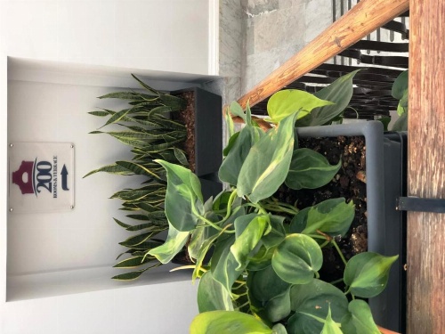 200 ROOMS & TERRACE image 22